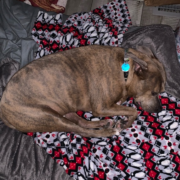 Meet your Posher, Cameron - Picture 11 of 16